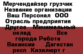 Мерчендайзер-грузчик › Название организации ­ Ваш Персонал, ООО › Отрасль предприятия ­ Другое › Минимальный оклад ­ 40 000 - Все города Работа » Вакансии   . Дагестан респ.,Кизилюрт г.